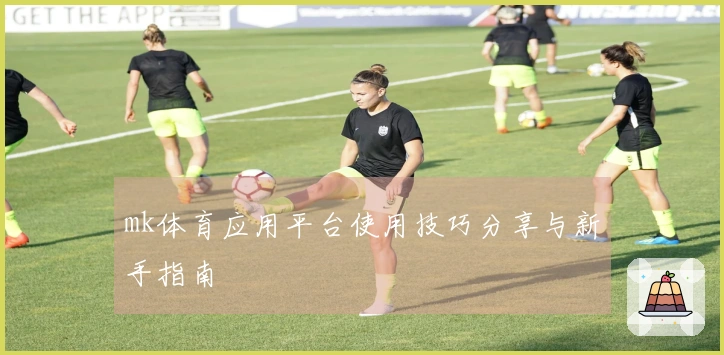 mk体育应用平台使用技巧分享与新手指南