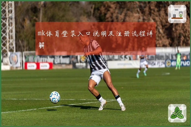 mk体育登录入口说明及注册流程详解